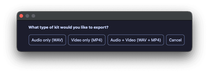 Quota DS asking what type of kit to export: audio only as WAV, video only as MP4, or both