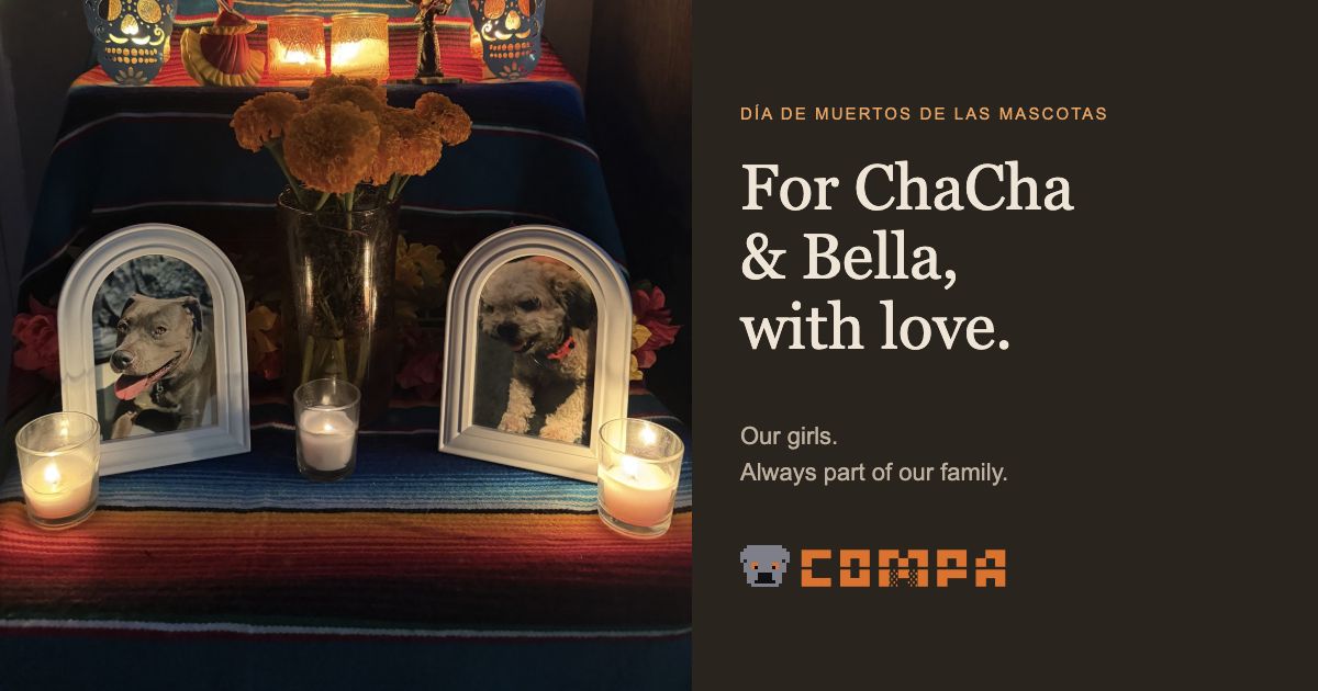 ChaCha and Bella's framed photographs on their family ofrenda, with flowers, candles and a tribute message.