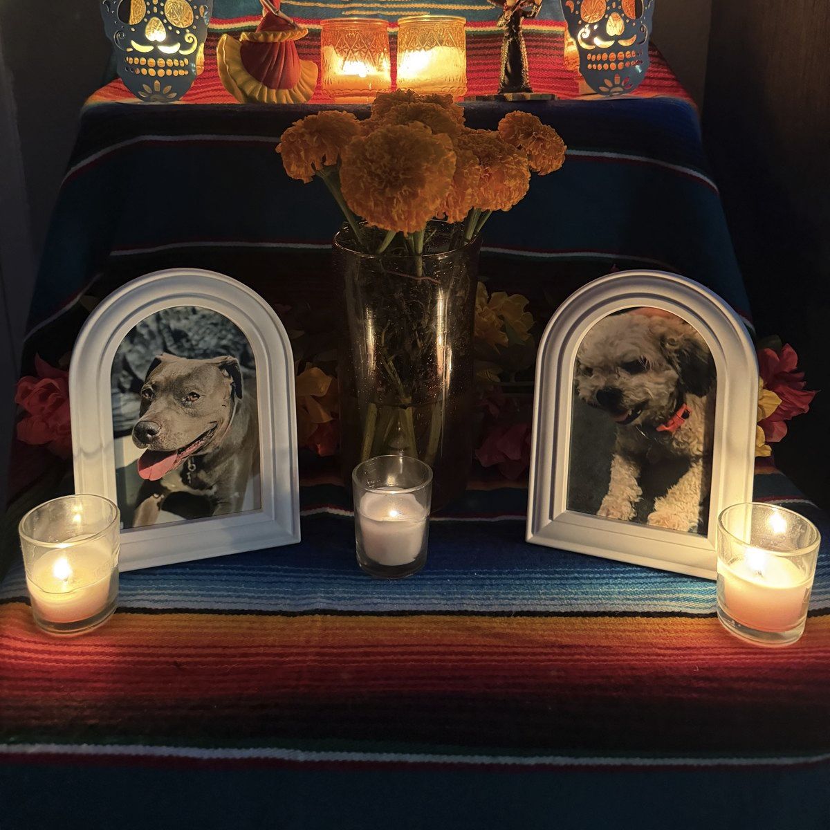Our family ofrenda with framed photographs of ChaCha and Bella, orange flowers, candles and a colorful striped cloth.